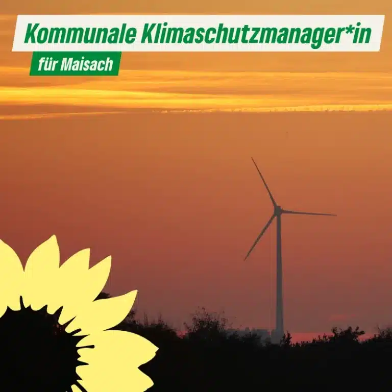 Kommunale Klimaschutzmanager*in