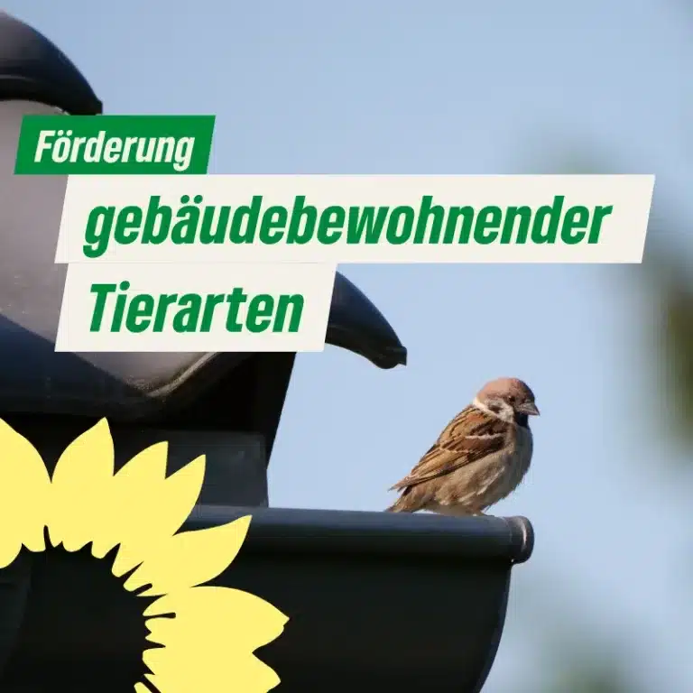 Förderung gebäudebewohnender Tierarten