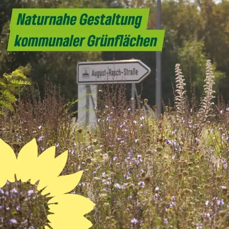 Naturnahe Gestaltung kommunaler Grünflächen