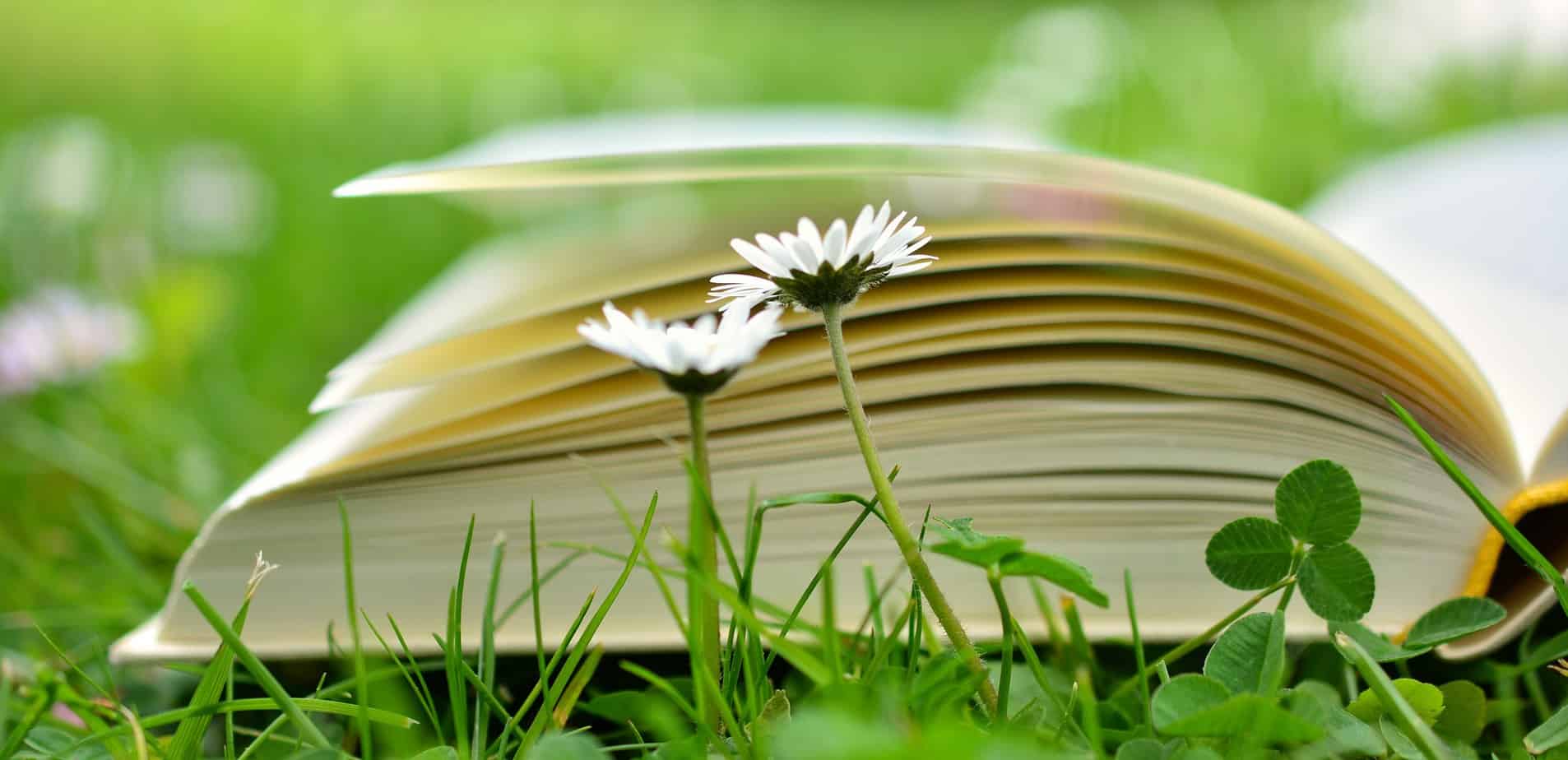 Blumenwiese mit aufgeschlagenem Buch